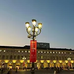 Il Nido Tra I Libri *