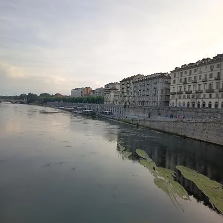 Il Nido Tra I Libri * Turin